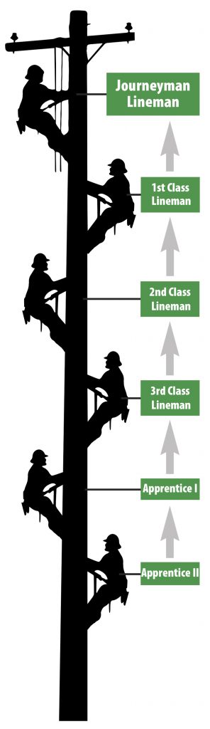 LAP Levels